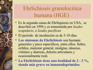Ehrlichiosis granulocitica humana (HGE)  Es la segunda causa de Ehrliquiosis en USA,  se describió en 1994 y es transmitida por  Ixodes scapularis , e  Ixodes pacificus   El período  de incubación es de 5-10 días.  Los síntomas de Ehrlichiosis  son bastante generales y poco específicos, entre ellos: fiebre, cefalea, malestar general, mialgias, náuseas, vómitos y diarreas, dolores articulares y ocasionalmente rush.  La Ehrlichiosis tiene una letalidad de 2 - 3 %, siendo más grave en inmunodeprimidos .  