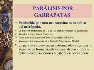 PARÁLISIS POR GARRAPATAS   Producida por una neurotoxina de la saliva del artrópodo.  La fijación prolongada (5-7 días) de ciertas especies de garrapatas ( Ixodes holocyclus  en Australia,  Dermacentor andersoni  Oeste  de América del Norte, Dermacentor variabilis  en el Este de América del Norte)  La parálisis comienza en extremidades inferiores y asciende en forma simétrica para afectar el ronco extremidades superiores y cabeza en pocas horas.  