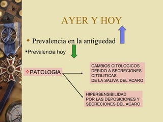 AYER Y HOY Prevalencia en la antiguedad Prevalencia hoy PATOLOGIA CAMBIOS CITOLOGICOS DEBIDO A SECRECIONES CITOLITICAS DE LA SALIVA DEL ACARO HIPERSENSIBILIDAD POR LAS DEPOSICIONES Y  SECRECIONES DEL ACARO 