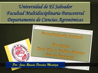 Universidad de El Salvador
Facultad Multidisciplinaria Paracentral
Departamento de Ciencias Agronómicas
Por: Juan Ramón Paredes Mendoza
 