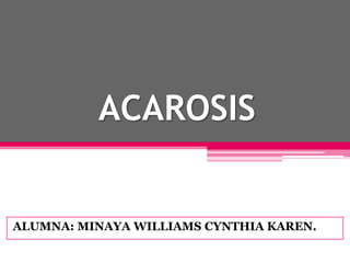 ACAROSIS
ALUMNA: MINAYA WILLIAMS CYNTHIA KAREN.
 