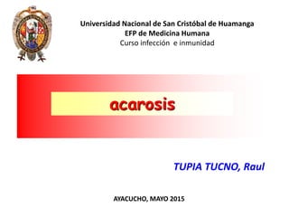 Universidad Nacional de San Cristóbal de Huamanga
EFP de Medicina Humana
Curso infección e inmunidad
AYACUCHO, MAYO 2015
acarosis
TUPIA TUCNO, Raul
 