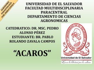UNIVERSIDAD DE EL SALVADOR
FACULTAD MULTIDISCIPLINARIA
PARACENTRAL
DEPARTAMENTO DE CIENCIAS
AGRONOMICAS
CATEDRATICO: DR. MSC. PEDRO
ALONSO PÉREZ
ESTUDIANTE: BR. PABLO
ROLANDO ZAVALA CAMPOS
“ACAROS”
 