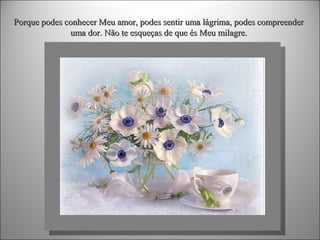 Porque podes conhecer Meu amor, podes sentir uma lágrima, podes compreender
uma dor. Não te esqueças de que és Meu milagre.

 