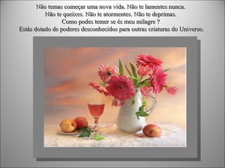 Não temas começar uma nova vida. Não te lamentes nunca.
Não te queixes. Não te atormentes. Não te deprimas.
Como podes temer se és meu milagre ?
Estás dotado de poderes desconhecidos para outras criaturas do Universo.

 