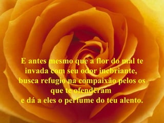 E antes mesmo que a flor do mal te
invada com seu odor inebriante,
busca refugio na compaixão pelos os
que te ofenderam
e dá a eles o perfume do teu alento.
 