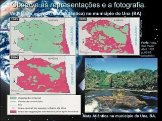 Observe as representações e a fotografia.
Vegetação original (Mata Atlântica) no município do Una (BA).




                                                               Mário Yoshida
                                                                      Fonte: Veja.
                                                                      São Paulo:
                                                                      Abril, 1197.
                                                                      p. 82-83
                                                                      (adaptado).




                                 Mata Atlântica no município do Una, BA.
 