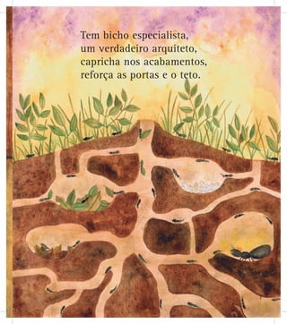 Tem bicho especialista,
um verdadeiro arquiteto,
capricha nos acabamentos,
reforça as portas e o teto.
7
 