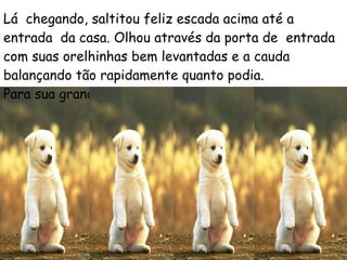 Lá  chegando, saltitou feliz escada acima até a entrada  da casa. Olhou através da porta de  entrada com suas orelhinhas bem levantadas e a cauda balançando tão rapidamente quanto podia.  Para sua grande surpresa,  