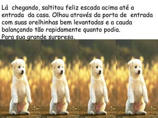 Lá chegando, saltitou feliz escada acima até a
entrada da casa. Olhou através da porta de entrada
com suas orelhinhas bem levantadas e a cauda
balançando tão rapidamente quanto podia.
Para sua grande surpresa,
 