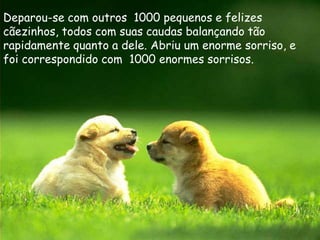 Deparou-se com outros 1000 pequenos e felizes
cãezinhos, todos com suas caudas balançando tão
rapidamente quanto a dele. Abriu um enorme sorriso, e
foi correspondido com 1000 enormes sorrisos.
 