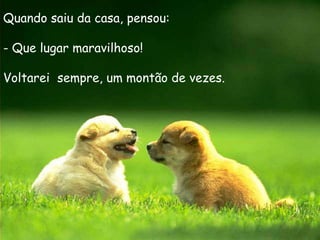 Quando saiu da casa, pensou:

- Que lugar maravilhoso!

Voltarei sempre, um montão de vezes.
 