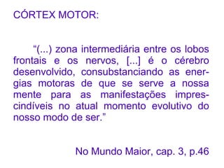 CÓRTEX MOTOR:


     “(...) zona intermediária entre os lobos
frontais e os nervos, [...] é o cérebro
desenvolvido, consubstanciando as ener-
gias motoras de que se serve a nossa
mente para as manifestações impres-
cindíveis no atual momento evolutivo do
nosso modo de ser.”


              No Mundo Maior, cap. 3, p.46
 