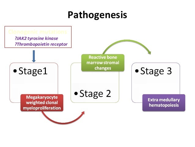 What is end stage myelofibrosis?