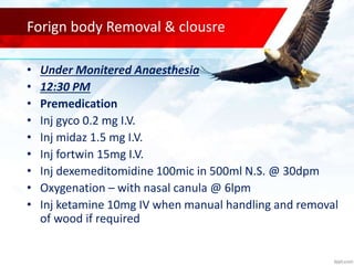 A case of penetrating injury to floor of mouth | PPT