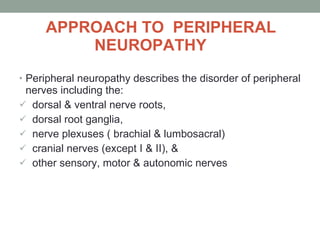 APPROACH TO  PERIPHERAL    NEUROPATHY Peripheral neuropathy describes the disorder of peripheral nerves including the: dorsal & ventral nerve roots,  dorsal root ganglia,  nerve plexuses ( brachial & lumbosacral) cranial nerves (except I & II), &  other sensory, motor & autonomic nerves 