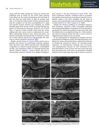 string with the beak, pulling the string up, placing the
pulled-up loop of string on the perch, then pressing
a foot down on the loop and letting go with the beak so
that the bird can reach down to pull up another loop
(Fig. 1). If a bird has achieved this solution spontaneously,
and the complete act has been accomplished in a rapid
and smooth manner without any fumbling, we would
probably agree with Thorpe (1956) in seeing nothing sug-
gestive of trial-and-error learning. However, out of more
than 15 species of birds initially tested with the string-
pulling task only ravens seem to understand the cause–
effect relationship between food, string and perch, use
effective techniques instantaneously, in contrast to a num-
ber of other species that do not, and generalize the solu-
tion to various situations (Heinrich 2000).
Besides corvids (Emery & Clayton 2004), parrots are es-
pecially well known for performing amazing cognitive
tasks. Recently, Funk (2002) reported some string-pulling
competence in yellow-crowned parakeets, Cyanoramphus
auriceps, and Pepperberg (2004) in language-trained grey
parrots, Psittacus erithacus. A parrot species that has re-
ceived public attention because of its alleged intelligence
and curiosity is the kea (Diamond & Bond 1999). This
bird’s explorative attitude, combined with its persistent
and rigorous destructiveness and almost total lack of neo-
phobia, makes it the ideal candidate for the study of
means–end comprehension and sensorimotor intelligence
in birds (Huber et al. 2001; Gajdon et al. 2004).
Despite the obvious problems of controlled testing in
ﬁeld situations, Johnston (1999) successfully addressed
the string-pulling abilities of wild keas. Of 19 freely partici-
pating keas six solved the problem in their ﬁrst trial, with
the median time to completion being 50 s. Other individ-
uals did not instantly master the task or never solved it,
suggesting that responses are not innate.
In our experiments we attempted to examine the keas’
sensorimotor intelligence under controlled laboratory con-
ditions by using a set-up that allows a distinction between
(1) ﬁnding the solution by chance, (2) executing innate
responses, (3) trial-and-error learning, and (4) means–
end comprehension. Because we were interested in the
goal directedness of the actions and were aware that keas
may learn from even a few errors, we performed a detailed
analysis of the initial steps they took to achieve success in
Figure 1. Six frames of a video clip (a–f) showing a kea performing string pulling in the first test.
ANIMAL BEHAVIOUR, 71, 4
856
 