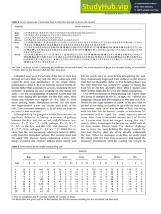 A detailed analysis of the actions of the keas in their ﬁrst
attempt revealed that they fell into three subgroups with
regard to their goal directedness in the single string-
pulling task (Tables 1, 2). Four subjects showed mostly ef-
ﬁcient, rather than exploratory, actions, including the key
elements of pulling up and stepping on the string (see
Table 1 for the categorization of actions). Given that the
birds were facing the problem for the ﬁrst time, they
found this solution very rapidly (9–15 s; Table 3). Even
more striking, these ‘immediate solvers’ did not show
any improvement across the further nine trials of the
task. They also never attempted to ﬂy off with the food ob-
ject once it was recovered.
Although taking the group as a whole, there was also no
signiﬁcant difference in latency or number of pull-ups
between the ﬁrst and the second trial (Wilcoxon test:
latency: T ¼ 7, N ¼ 7, P ¼ 0.24; pull-ups: T ¼ 10, N ¼ 7,
P ¼ 0.5) or the ﬁrst and the 10th trial (latency: T ¼ 3,
N ¼ 7, P ¼ 0.06; pull-ups: T ¼ 1.5, N ¼ 7, P ¼ 0.06), it is ev-
ident that the two remaining subgroups behaved differ-
ently from the immediate solvers. The juvenile Knut and
the adult Tiffy showed many exploratory actions (nib-
bling), executed the efﬁcient actions more slowly and
left the perch once or more before completing the task.
They dramatically improved their methods in the second
trial, but not thereafter (Table 3). The ﬂedgling Bruce was
the only bird that was completely unable to secure the
food toy in his ﬁrst attempts. Only after 1 month and
three further trials did he solve the string-pulling task.
One obvious measure of string-pulling skill is how often
the string is dropped (Table 3). In fact, the 7-month-old
ﬂedgling’s (Bruce) bad performance in the ﬁrst trial is re-
ﬂected by the large number of drops. In his ﬁrst trial he
pecked at the string and pulled it up with his beak a few
centimetres. Only twice was he able to hold the string
with his foot but he seemed unable to coordinate his
movements and to repeat the correct sequence several
times. After three unsuccessful sessions (each of 10 min
on 3 consecutive days) we stopped testing him for 1
month. When tested again he became successful only af-
ter three further 10-min trials. The obvious challenge
was to move the beak holding the string towards the
foot and thereby place the string directly underneath
the foot. When he managed to do this, he could hold
the string with the foot more accurately and repeat the
necessary movements until he reached the reward. In
Table 2. Action sequences of individual keas in their first attempt to secure the reward
Subjects Action sequence
Bigo 1-2-17-3-4-5-6-10-2-3-4-5-10-2-3-4-5-10-2-3-4-5-10-2-3-4-5-10-2-3-4-5-11
John 1-2-17-3-5-10-2-3-5-9-6-10-2-3-5-10-2-3-9-6-10-2-3-4-5-11
Kima 1-2-3-5-10-2-3-6-10-2-3-5-10-2-3-9-5-11
Mismo 1-2-17-3-9-5-10-2-3-9-5-10-2-3-9-5-10-2-3-5-10-2-3-5-11
Knut 1-2-17-17-10-18-2-17-17-10-2-17-2-3-5-10-2-3-5-10-2-3-9-5-10-2-3-10-14-2-17-10-2-3-5-10-2-3-9-5-10-14-16-1-2-3-9-5-
10-2-3-5-10-14-2-3-9-5-10-2-3-14-2-3-5-10-2-3-9-5-10-2-3-9-5-10-2-3-5-10-2-3-5-11
Tiffy 1-2-17-3-5-10-2-3-5-10-2-3-5-17-14-18-18-18-2-3-14-2-17-2-17-17-17-17-18-18-18-15-18-18-16-1-16-1-2-17-2-17-2-3-6-
10-14-2-19-2-3-6-10-2-3-5-3-4-17-3-9-5-10-2-3-8-10-17-10-14-18-15-2-17-3-10-14-2-3-6-10-2-3-9-5-10-2-3-5-10-2-3-5-10-
2-3-5-10-2-3-9-6-11
Bruce 1-2-17-17-3-13-14-2-17-3-3-12-14-2-3-3-12-13-14-2-3-3-13-7-13-14-18-18-18-18-18-2-3-4-5-17-14-2-3-13-14-2-3-14-2-3-
17-3-13-14-2-17-3-4-13-14-2-3-13-14-2-3-4-5-17-4-13-14-2-3-4-5-17-4-6-10-14-2-3-4-5-7-5-4-13-14-2-3-4-13-4-5-17-13-4-
6-17-8-17-7-13-14-2-3-4-5-7-13-14-2-3-7-13-7-9-4-5-10-2-3-3-9-4-13-14-2-3-3-7-9-4-5-7-5-7-14-2-3-3-7-14-2-3-3-7-9-4-
13-14-2-3-7-9-4-5-10-2-3-4-5-6-11
See Table 1 for list of actions. Exploratory and inefficient actions are in bold. The action sequence of Bruce was recorded during his second test
1 month after his first (unsuccessful) attempts (see text).
Table 3. Performance in the single string-pulling task
Trial
Subjects
Bigo Bruce* John Kima Knut Mismo Tiffy
T P D T P D T P D T P D T P D T P D T P D
1 12 5 0 369 30 19 15 4 0 9 4 0 120 16 4 13 6 0 330 17 5
2 10 6 0 24 4 2 11 7 0 21 7 1 18 9 1 26 9 1 32 11 2
3 9 5 0 17 3 0 4 5 0 15 5 0 10 5 0 13 5 1 17 6 0
4 17 7 1 33 4 1 6 5 0 11 5 0 10 6 0 16 5 1 15 8 0
5 7 3 0 40 8 4 6 6 0 16 6 0 11 6 1 26 5 1 14 6 1
6 10 4 0 13 4 2 13 5 1 13 5 0 13 6 1 24 6 3 29 11 2
7 22 6 1 120 10 3 6 7 0 17 7 0 17 8 1 15 3 1 18 5 0
8 13 8 0 13 1 0 8 7 0 17 7 1 9 5 0 8 3 0 14 4 0
9 10 4 0 86 8 5 9 5 0 11 5 0 10 5 0 14 4 2 25 10 0
10 13 5 0 65 21 7 6 6 0 12 6 0 10 5 0 6 1 0 11 5 0
T: time to completion (s); P: number of pulls; D: number of drops.
*For Bruce data are given not for his first session, but for the session including his first successful trial (see text).
WERDENICH  HUBER: STRING PULLING IN KEAS 859
 