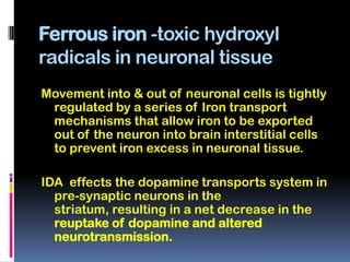 Ferrous iron -toxic hydroxyl
radicals in neuronal tissue
Movement into & out of neuronal cells is tightly
 regulated by a series of Iron transport
 mechanisms that allow iron to be exported
 out of the neuron into brain interstitial cells
 to prevent iron excess in neuronal tissue.

IDA effects the dopamine transports system in
  pre-synaptic neurons in the
  striatum, resulting in a net decrease in the
  reuptake of dopamine and altered
  neurotransmission.
 