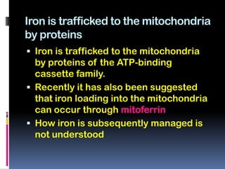 Iron is trafficked to the mitochondria
by proteins
 Iron is trafficked to the mitochondria
  by proteins of the ATP-binding
  cassette family.
 Recently it has also been suggested
  that iron loading into the mitochondria
  can occur through mitoferrin
 How iron is subsequently managed is
  not understood
 
