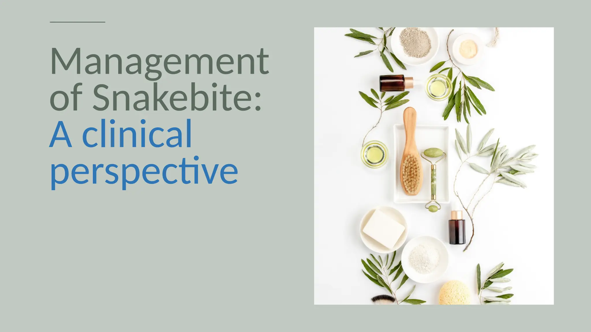 Management
of Snakebite:
A clinical
perspective
 