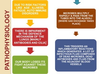 DUE TO RISK FACTORS
LIKE AGE , ILLNESS,
FATIGUE, AUTO IMMUNE
DISORDERS
THERE IS IMPAIRMENT
IN THE DEFENCE
MECHANISM OF THE
LUNGS [MAINLY
ANTIBODIES AND CILIA]
OUR BODY LOSES ITS
FIGHT AGAINST THESE
MICROBES
MICROBES MULTIPLY
RAPIDLY & PASS FROM THE
TUBES INTO THE ALVEOLI
[WHERE GAS EXCHANGE TAKES
PLACE]
THIS TRIGGERS AN
INFLAMMATORY REACTIONS
WHICH GENERATES A LOT OF
INFECTIOUS FLUID COMPOSED
OF DEAD MICROBES, DEAD
ANTIBODIES AND FLUID FROM
THE ADJACENT BLOOD
VESSELS
PATHOPHYSIOLOGY
 