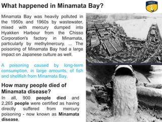 A case study on minamata disease-By Ritu Chauhan | PPT