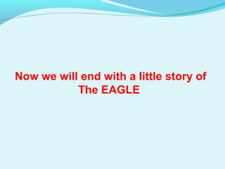 Now we will end with a little story of
The EAGLE

 