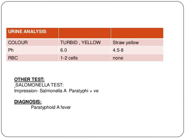 Case study on typhoid fever slideshare picture