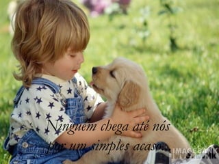 Ninguém chega até nós
por um simples acaso...
 