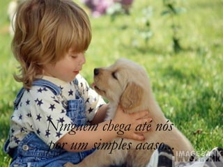 Ninguém chega até nós  por um simples acaso... 