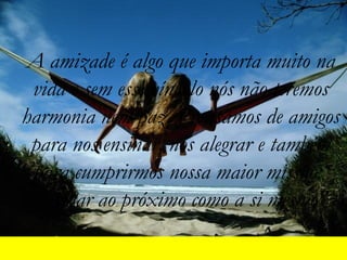 A amizade é algo que importa muito na vida e sem esse vínculo nós não teremos harmonia nem paz. Precisamos de amigos para nos ensinar, nos alegrar e também para cumprirmos nossa maior missão:  "Amar ao próximo como a si mesmo" 