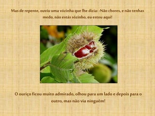 Mas derepente, ouviuuma vózinha que lhe dizia: -Não chores, enão tenhas
medo, não estás sózinho, eu estou aqui!
O ouriçoficou muito admirado, olhou para um lado e depois para o
outro, mas não via ninguém!
 
