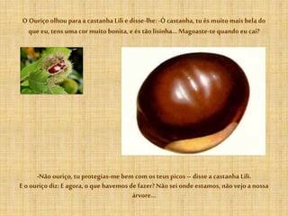 O Ouriço olhou para a castanha Lili e disse-lhe: -Ó castanha, tu és muitomais bela do
que eu, tens uma cor muitobonita, e és tãolisinha…Magoaste-te quando eu caí?
-Não ouriço, tuprotegias-me bem com os teus picos – disse a castanha Lili.
E o ouriço diz: E agora, o que havemosde fazer? Não sei onde estamos, nãovejoa nossa
árvore…
 