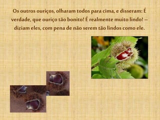 Os outros ouriços, olharam todos para cima,e disseram: É
verdade, que ouriço tãobonito! É realmente muito lindo! –
diziam eles, com pena de não serem tão lindos como ele.
 