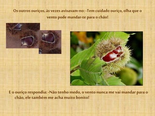 Os outros ouriços, às vezes avisavam-no: -Tem cuidado ouriço,olha que o
vento pode mandar-te para ochão!
E o ouriço respondia: -Nãotenhomedo,o ventonuncame vaimandar para o
chão, eletambémme achamuitobonito!
 