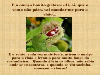 E o ouriço bonito gritava: -Ai, ai, que o
vento não pára, vai mandar-me para o
chão…
E o vento, cada vez mais forte, atirou o ouriço
para o chão e levou-o para muito longe do
castanheiro… Quando abriu os olhos, não sabia
onde se encontrava, e quando se viu sozinho,
começou a chorar!
 