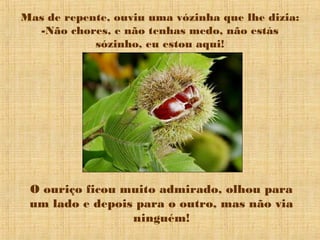 Mas de repente, ouviu uma vózinha que lhe dizia:
-Não chores, e não tenhas medo, não estás
sózinho, eu estou aqui!
O ouriço ficou muito admirado, olhou para
um lado e depois para o outro, mas não via
ninguém!
 