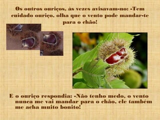 Os outros ouriços, às vezes avisavam-no: -Tem
cuidado ouriço, olha que o vento pode mandar-te
para o chão!
E o ouriço respondia: -Não tenho medo, o vento
nunca me vai mandar para o chão, ele também
me acha muito bonito!
 