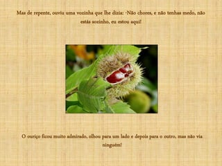 Mas de repente, ouviu uma vozinha que lhe dizia: -Não chores, e não tenhas medo, não
                            estás sozinho, eu estou aqui!




  O ouriço ficou muito admirado, olhou para um lado e depois para o outro, mas não via
                                       ninguém!
 