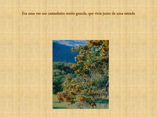 Era uma vez um castanheiro muito grande, que vivia junto de uma estrada
 