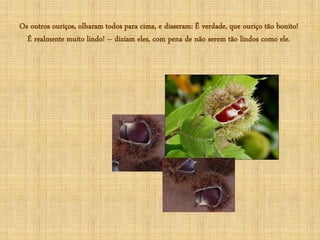 Os outros ouriços, olharam todos para cima, e disseram: É verdade, que ouriço tão bonito!
  É realmente muito lindo! – diziam eles, com pena de não serem tão lindos como ele.
 