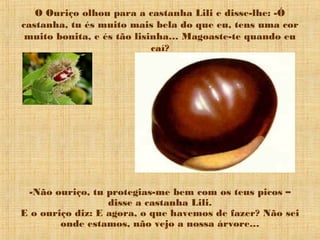 O Ouriço olhou para a castanha Lili e disse-lhe: -Ó
castanha, tu és muito mais bela do que eu, tens uma cor
 muito bonita, e és tão lisinha… Magoaste-te quando eu
                            caí?




 -Não ouriço, tu protegias-me bem com os teus picos –
                  disse a castanha Lili.
E o ouriço diz: E agora, o que havemos de fazer? Não sei
        onde estamos, não vejo a nossa árvore…
 