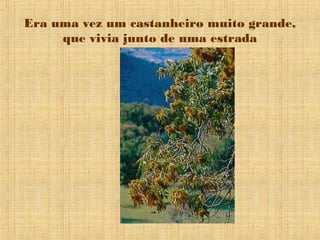 Era uma vez um castanheiro muito grande,
     que vivia junto de uma estrada
 