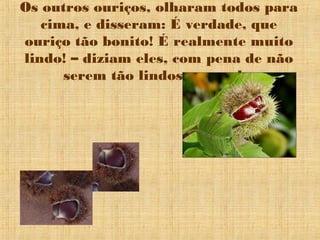 Os outros ouriços, olharam todos para
   cima, e disseram: É verdade, que
ouriço tão bonito! É realmente muito
lindo! – diziam eles, com pena de não
      serem tão lindos como ele.
 