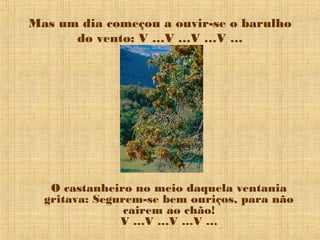 Mas um dia começou a ouvir-se o barulho
      do vento: V …V …V …V …




   O castanheiro no meio daquela ventania
  gritava: Segurem-se bem ouriços, para não
                cairem ao chão!
               V …V …V …V …
 