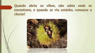 Quando abriu os olhos, não sabia onde se
encontrava, e quando se viu sozinho, começou a
chorar!
 