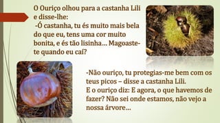O Ouriço olhou para a castanha Lili
e disse-lhe:
-Ó castanha, tu és muito mais bela
do que eu, tens uma cor muito
bonita, e és tão lisinha… Magoaste-
te quando eu caí?
-Não ouriço, tu protegias-me bem com os
teus picos – disse a castanha Lili.
E o ouriço diz: E agora, o que havemos de
fazer? Não sei onde estamos, não vejo a
nossa árvore…
 