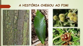 A HISTÓRIA CHEGOU AO FIM!
 