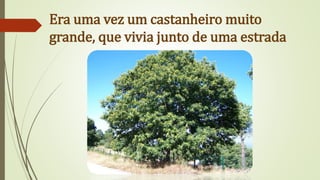 Era uma vez um castanheiro muito
grande, que vivia junto de uma estrada
 